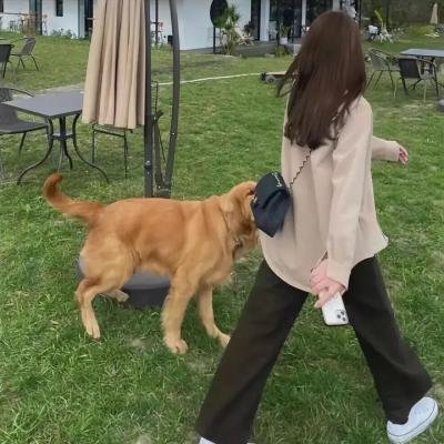 秋白之死